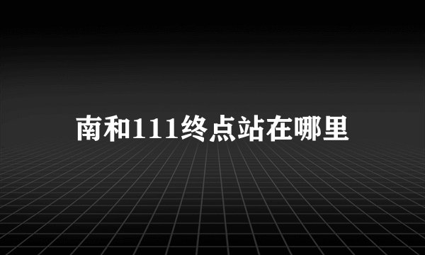 南和111终点站在哪里
