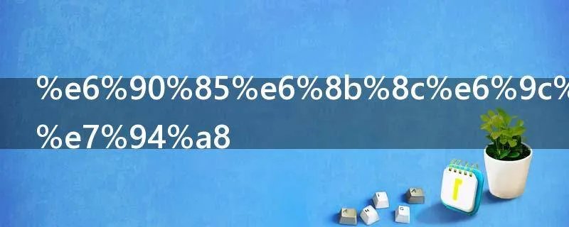 搅拌机怎么用