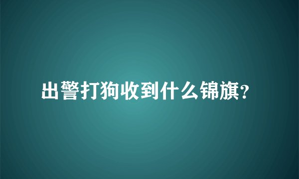 出警打狗收到什么锦旗？