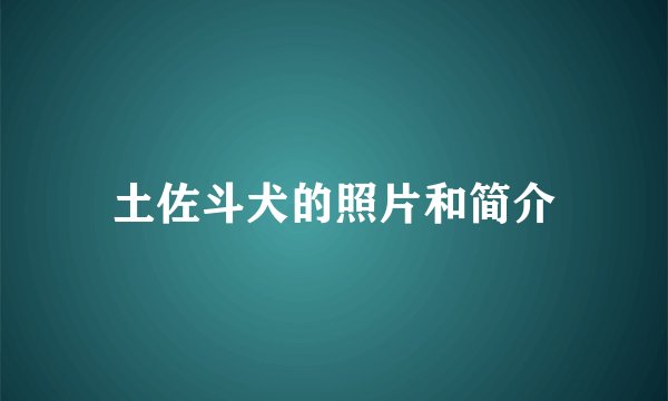 土佐斗犬的照片和简介