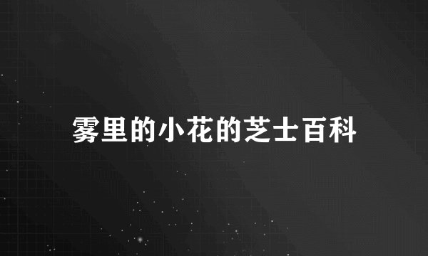 雾里的小花的芝士百科