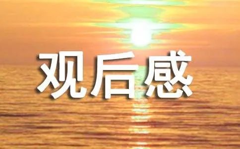 《美国派4美国重逢》观后感