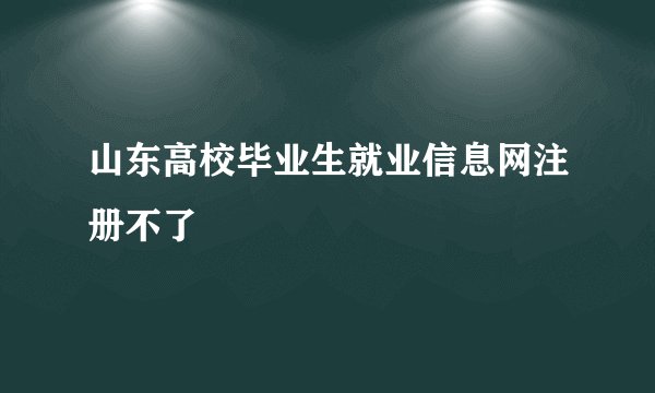 山东高校毕业生就业信息网注册不了