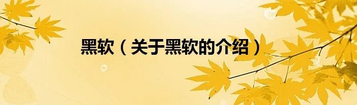 黑软（关于黑软的介绍）