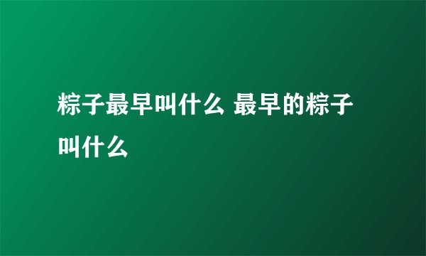 粽子最早叫什么 最早的粽子叫什么