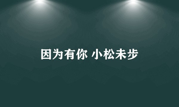 因为有你 小松未步