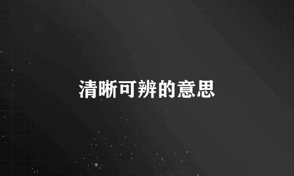 清晰可辨的意思