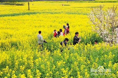 中国慢城