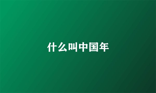 什么叫中国年