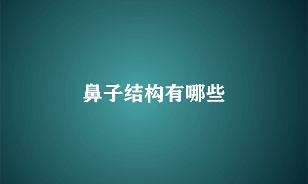 鼻子结构有哪些
