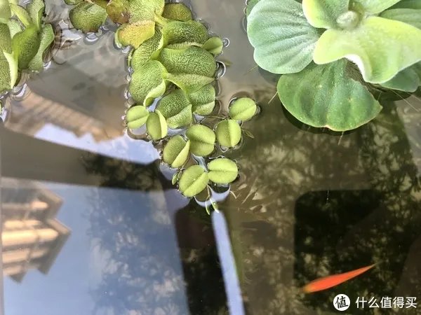 水族用品