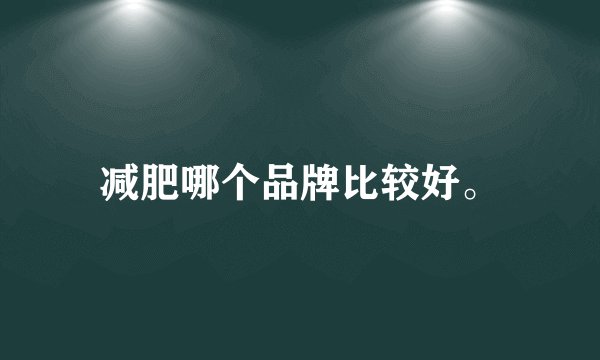 减肥哪个品牌比较好。