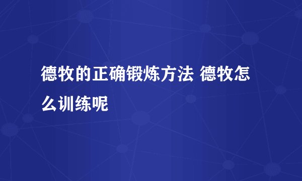 德牧的正确锻炼方法 德牧怎么训练呢