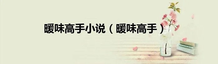 暖味高手小说（暖味高手）