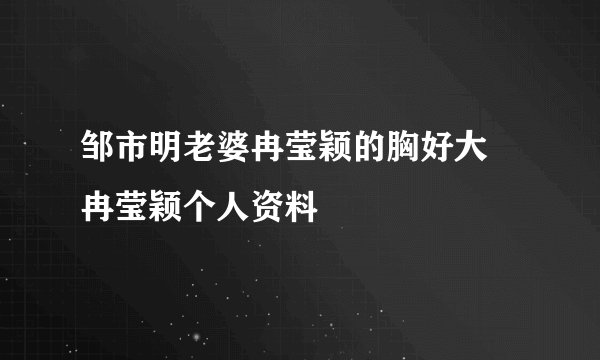 邹市明老婆冉莹颖的胸好大 冉莹颖个人资料