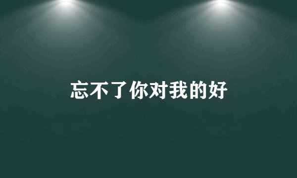 忘不了你对我的好