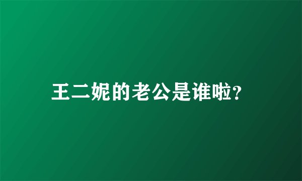 王二妮的老公是谁啦？