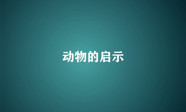 动物的启示