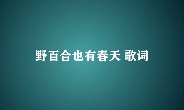 野百合也有春天 歌词