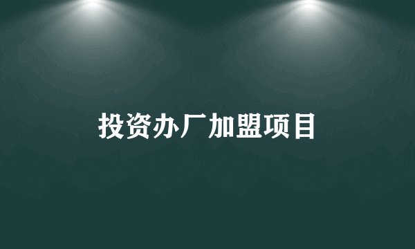 投资办厂加盟项目