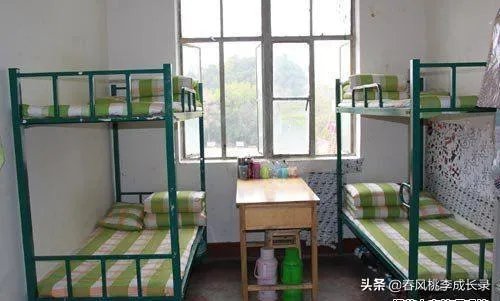 床上不能放布娃娃,垃圾桶里不能有垃圾,大学该管学生内务吗?