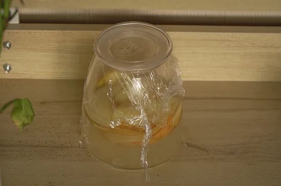 苹果醋的做法
