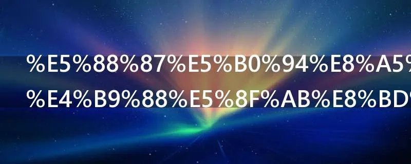 切尔西为什么叫车子