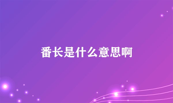 番长是什么意思啊
