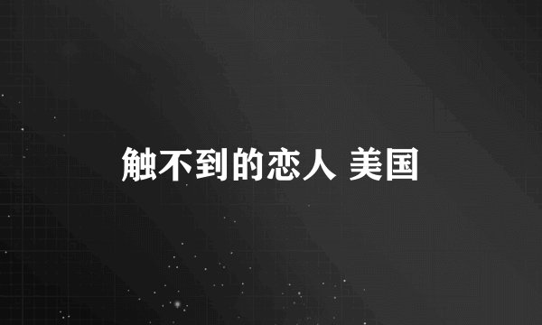触不到的恋人 美国