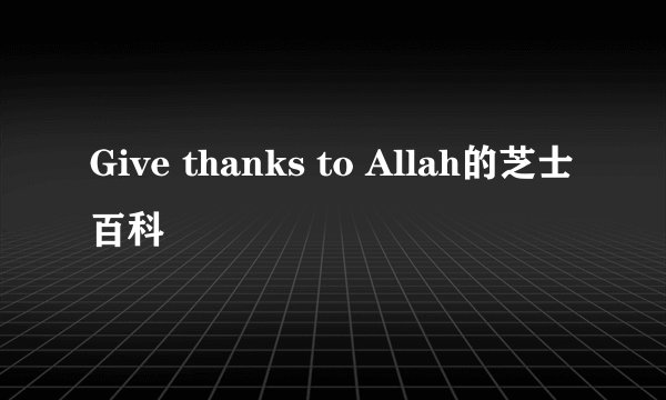 Give thanks to Allah的芝士百科
