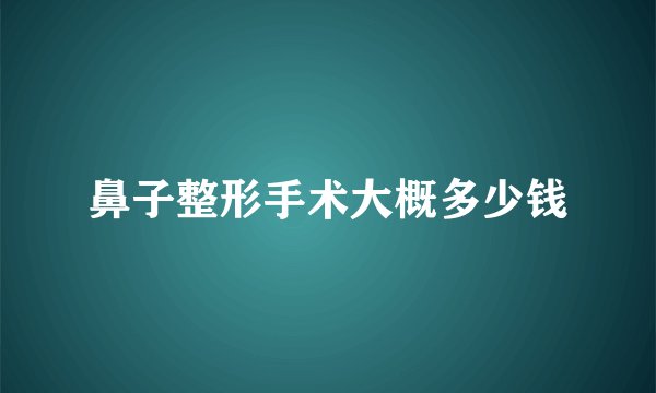 鼻子整形手术大概多少钱