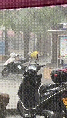 喜欢XX的没有坏人！打鸡感十足的动态图