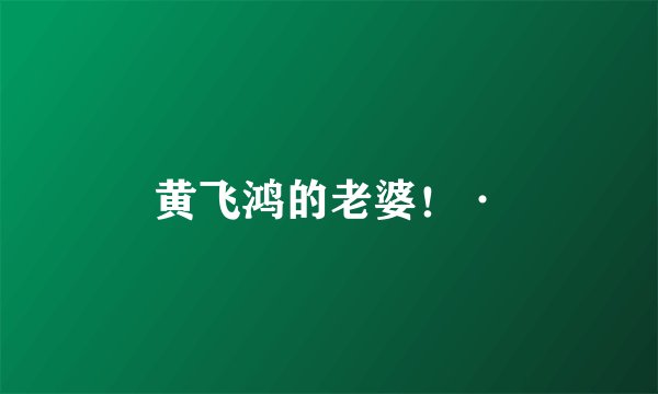 黄飞鸿的老婆！·