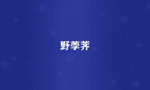野荸荠
