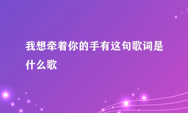 我想牵着你的手有这句歌词是什么歌