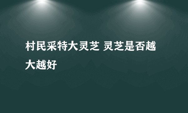 村民采特大灵芝 灵芝是否越大越好