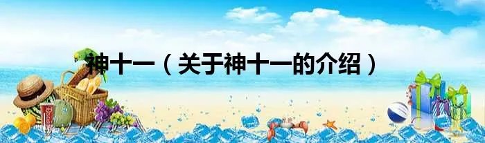 神十一(关于神十一的介绍)