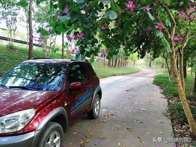 汽车摄影都有哪些技巧?