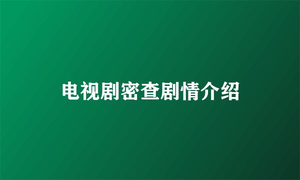 电视剧密查剧情介绍