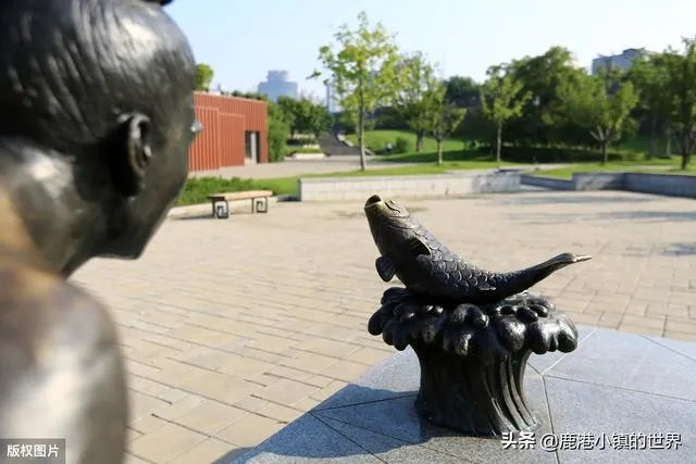 翼装飞行女大学生去世，有人表示敬佩有人说她自私，你怎么看？
