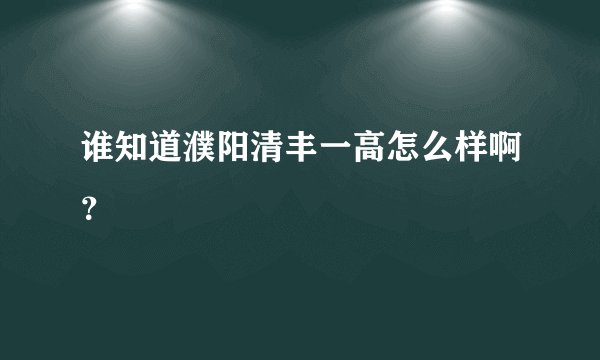 谁知道濮阳清丰一高怎么样啊？