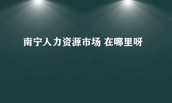 南宁人力资源市场 在哪里呀