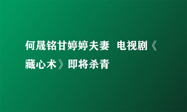 何晟铭甘婷婷夫妻  电视剧《藏心术》即将杀青