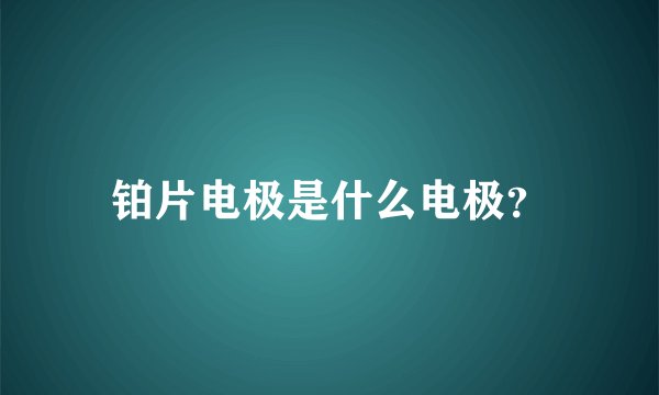 铂片电极是什么电极?
