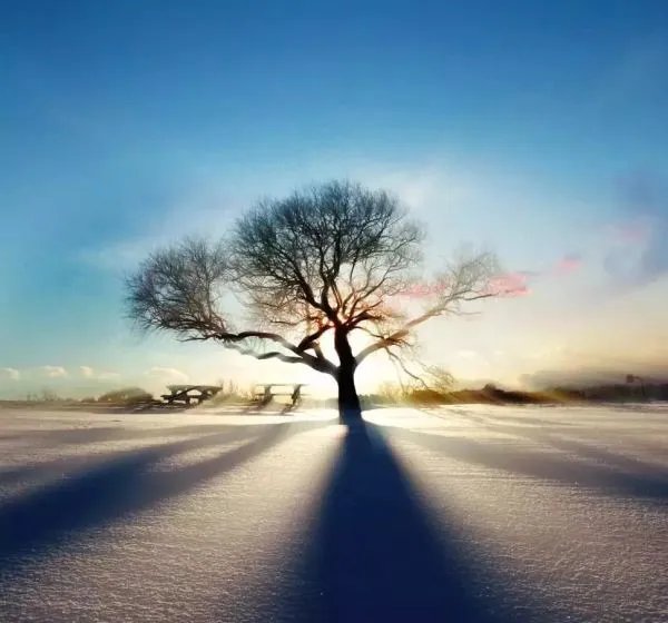 什么微信头像能带来好运？