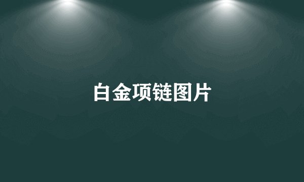 白金项链图片