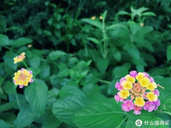 修飞机人周末好去处:高百丈风景区羊石水库