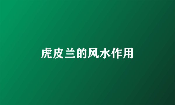 虎皮兰的风水作用