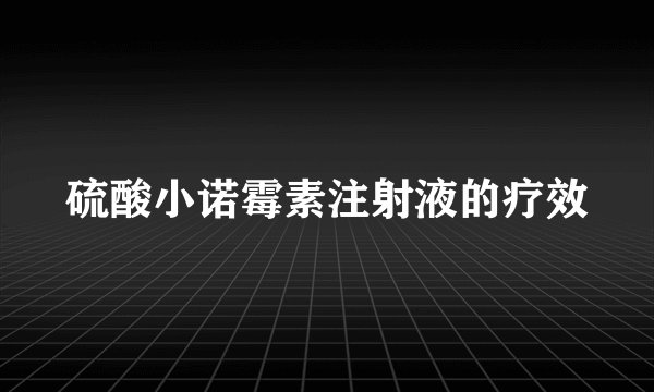 硫酸小诺霉素注射液的疗效