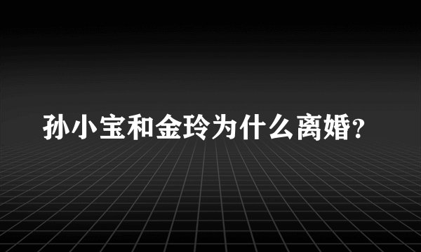 孙小宝和金玲为什么离婚？